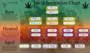 The above chart illustrates the different components of decarboxlyation.
