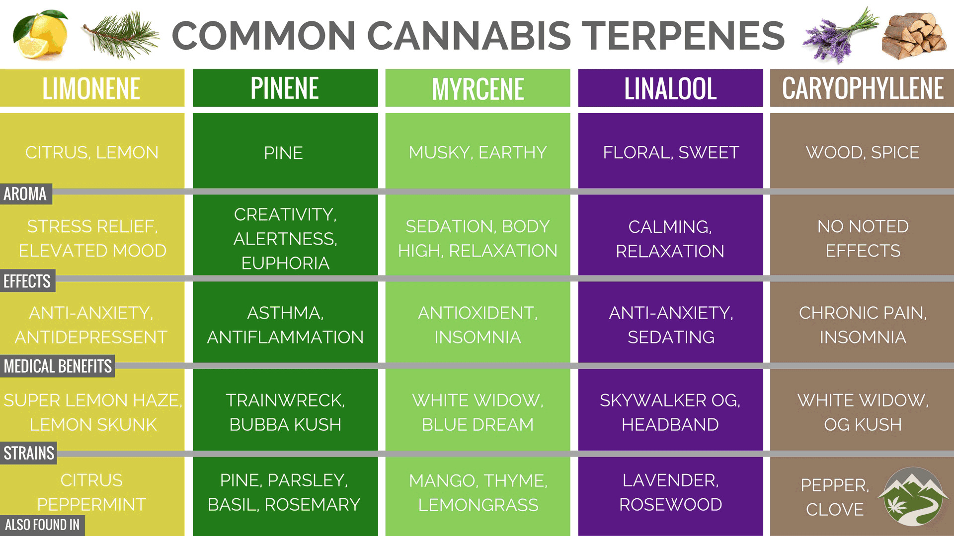 The above infographic illustrates the types of common cannabis terpenes.